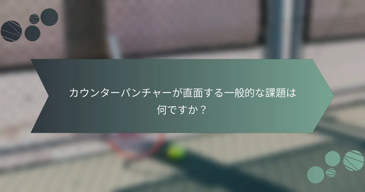 カウンターパンチャーが直面する一般的な課題は何ですか？