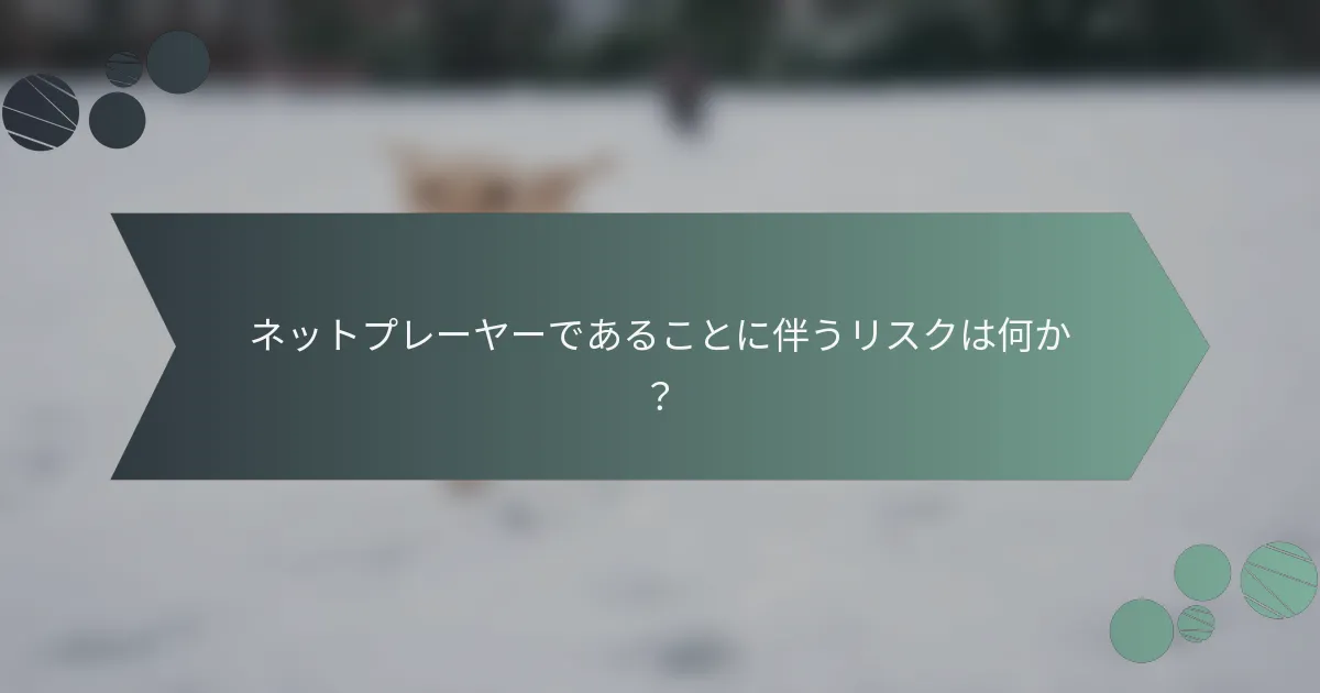 ネットプレーヤーであることに伴うリスクは何か？