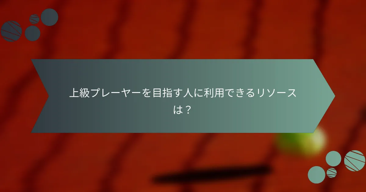 上級プレーヤーを目指す人に利用できるリソースは？